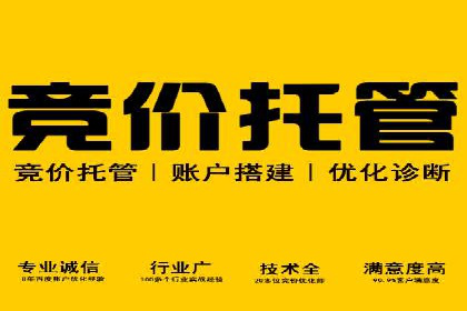 竞价排名在搜索引擎营销中的运用案例